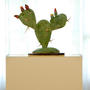 Cactus de vidrio