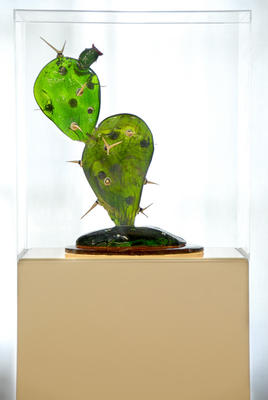 Cactus de vidrio