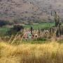 Serie Cementerio
