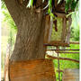 Serie Mendoza