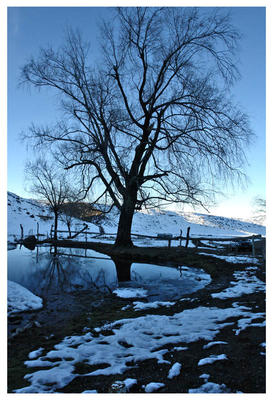 Ranchos de alta montaña