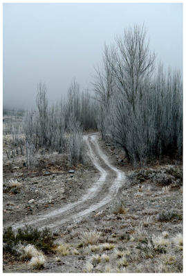 Ranchos de alta montaña