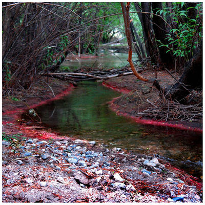Ranchos de alta montaña