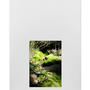 Serie Agua-Manto liquido