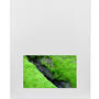 Serie Agua-Manto liquido
