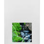 Serie Agua-Manto liquido