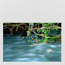 Serie Agua - Manto liquido