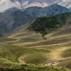 Serie Ranchos de alta montaña