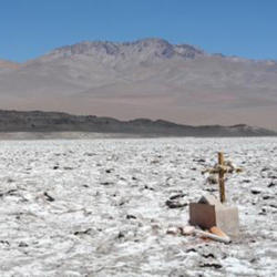 2010